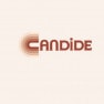 Candide