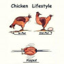 Chicken Lifestyle