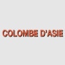 Colombe d'Asie