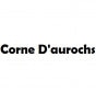 Corne d'aurochs