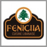 Feniciia