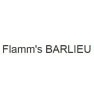 Flamm's barlieu