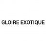 Gloire Exotique