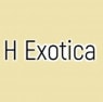 H Exotica