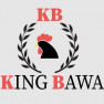 King Bawa