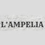 L'ampelia