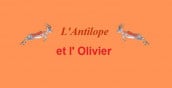 L' Antilope