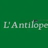 L'Antilope