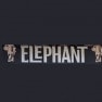 L'elephant