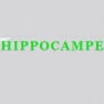 L'Hippocampe