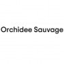 L'orchidee Sauvage