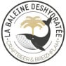 La Baleine Déshydratée