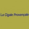 La cigale provençale