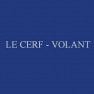 Le cerf-volant