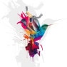 Le Colibri