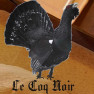 Le Coq Noir