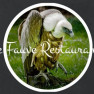 Le Fauve