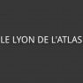 Le Lyon de L'Atlas