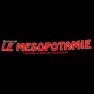 Le mesopotamie