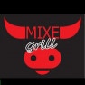 le mixe grill