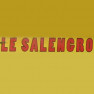 Le Salengro