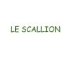 Le scallion