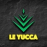 Le yucca