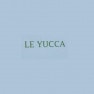 Le yucca