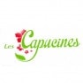 Les Capucines