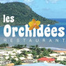 Les Orchidées