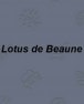 Lotus de beaune