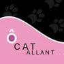 Ô Cat allant