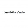 Orchidée d'Asie