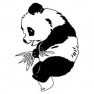 Panda de Chine