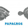 Papagros