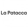 Patacca