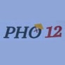 Pho 12