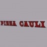 Pizza Cauli