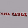 Pizza Cauli