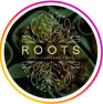 Roots