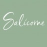 Salicorne