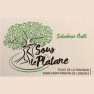 Sous le platane