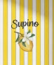 Supino