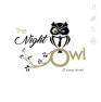 The Night Owl