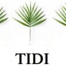 Tidi