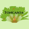Tongasoa