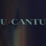 U Cantu