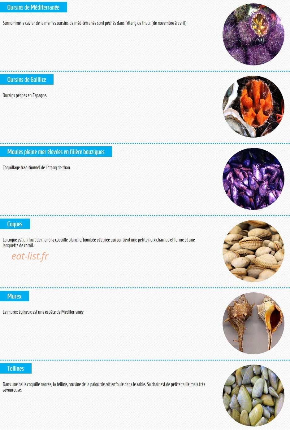 Jade coquillages — carte page 2