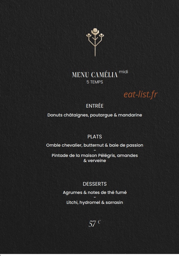 Inima — carte page 4