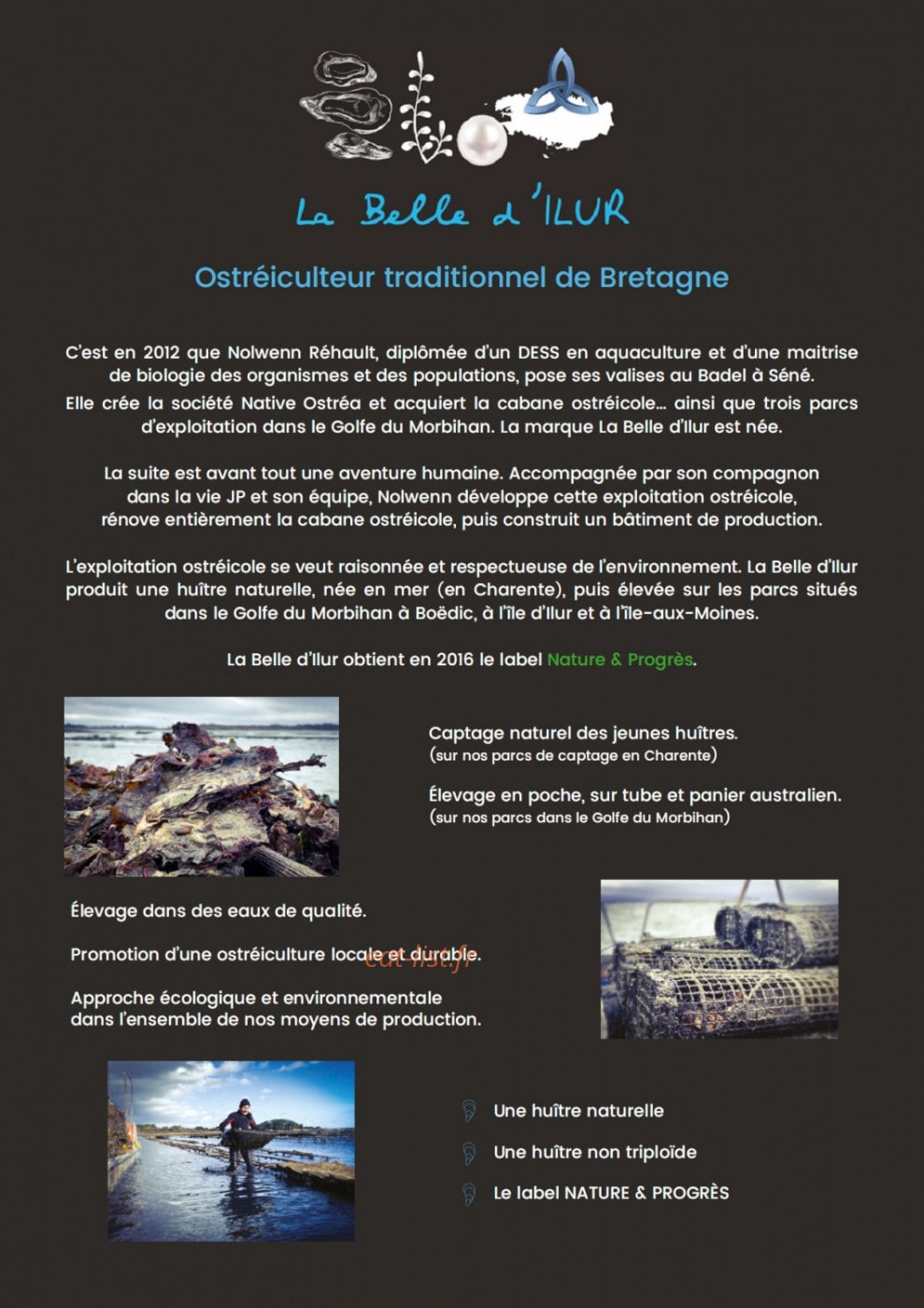 Carte et menu de La Belle d'Ilur à Sene — Les informations